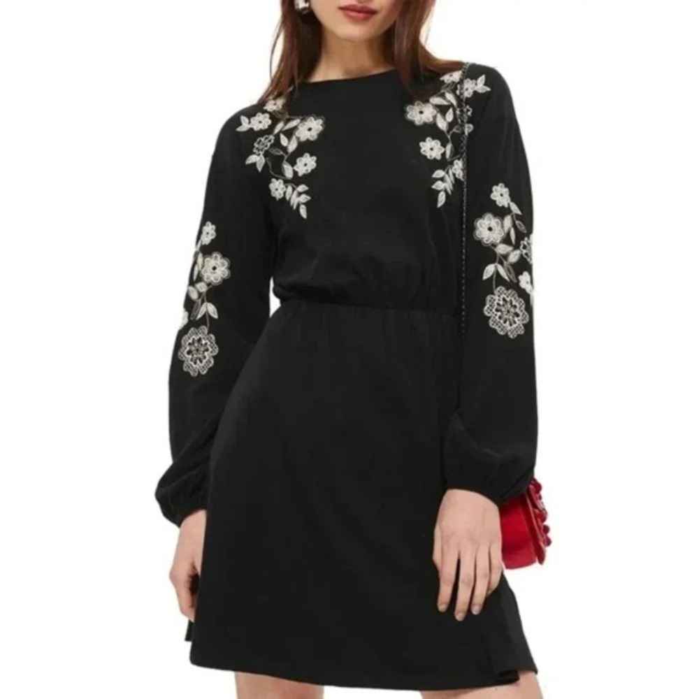 Topshop Embroidered Balloon Sleeve Skater Dress